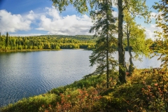 Talkeetna-Lakes-Hike-1