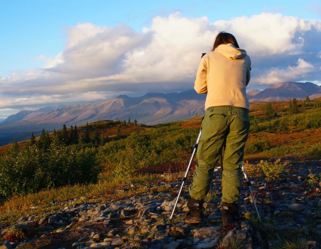 alaska nature guides hiking tours in talkeetna