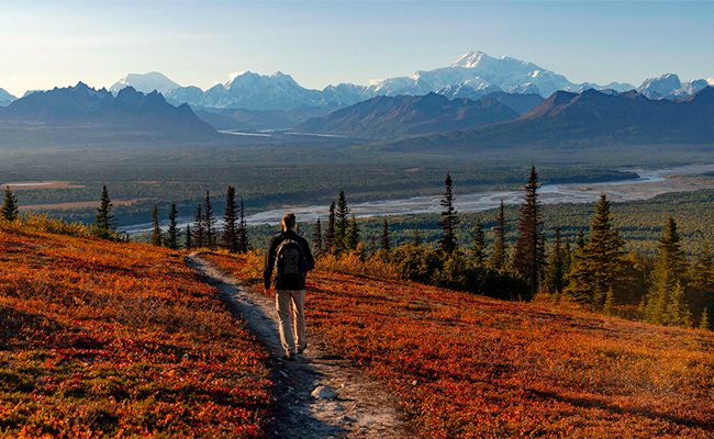 take a denali hiking trip with alaska nature guides